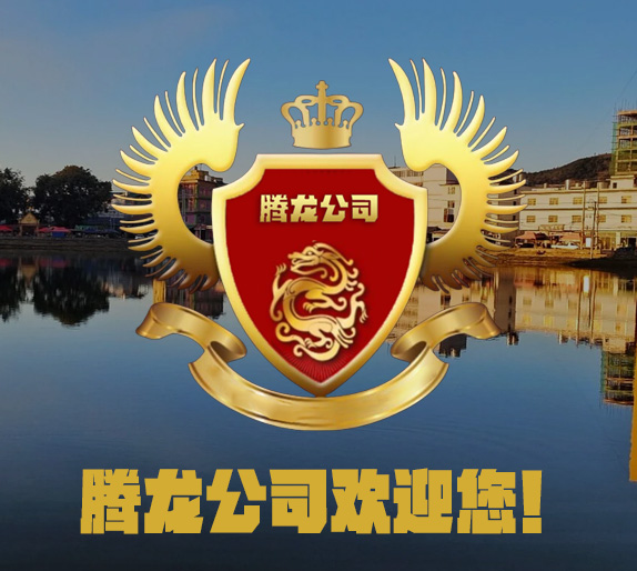 腾龙公司现代化办公室与会议室